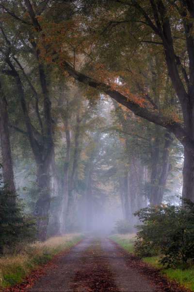 6u9a1118 bewerkt bewerkt