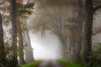 6u9a1144 bewerkt bewerkt