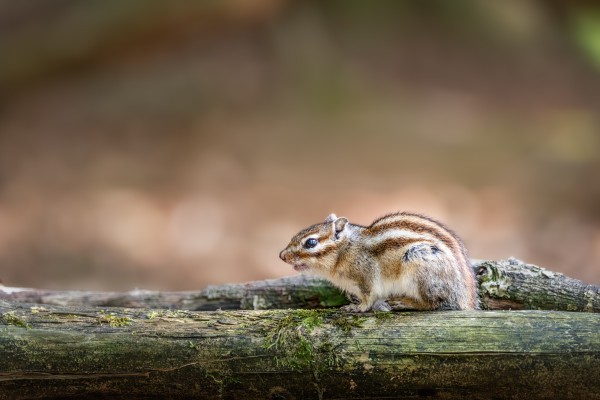  u9a1502 bewerkt bewerkt bewerkt