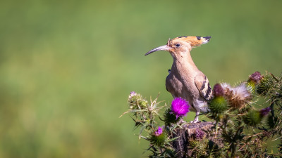 6u9a9830 bewerkt bewerkt