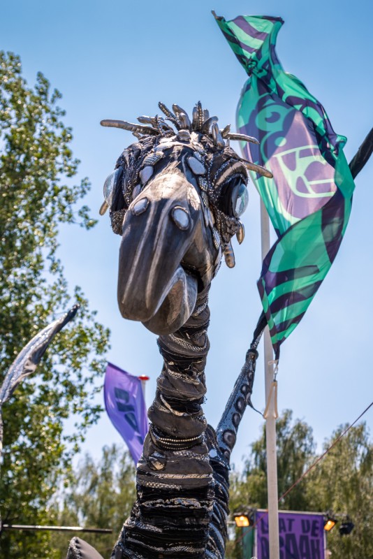 drakenboot zaterdag