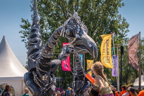 drakenboot zaterdag
