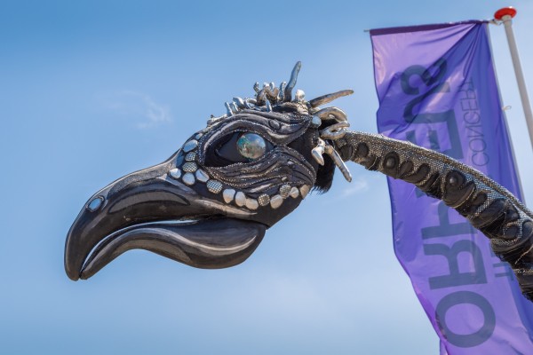 drakenboot zaterdag