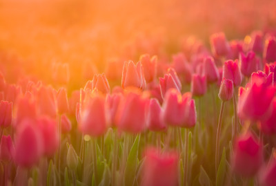  u9a0712 bewerkt bewerkt