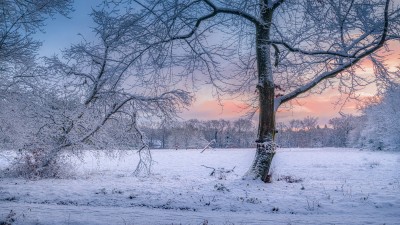  z3a4860 bewerkt bewerkt