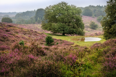  u9a1741 bewerkt bewerkt