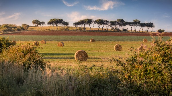 puglia